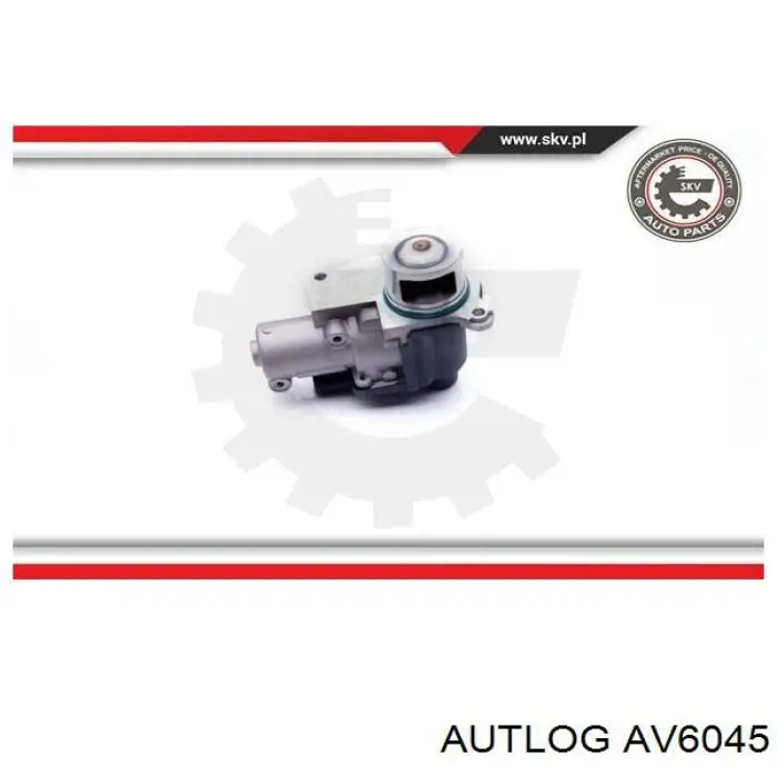 Válvula EGR 90085 Birth