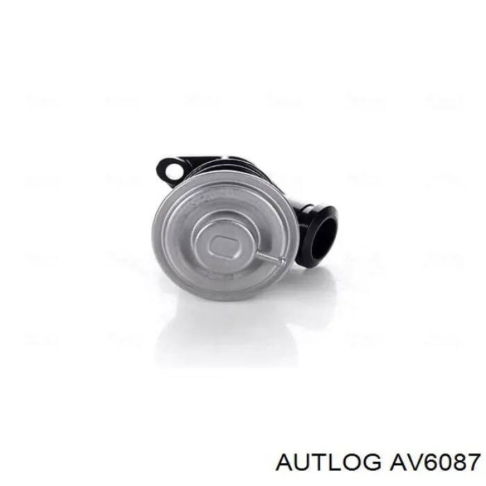 Válvula de regulación de gases Peugeot/Citroen 00001628SV precio, desde 34,85 EUR