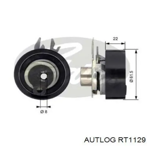Tensor de la correa de distribución Autlog RT1129 precio, desde 25,48 EUR
