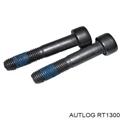 83061 Peugeot/Citroen Polea tensora intermedio de correa dentada