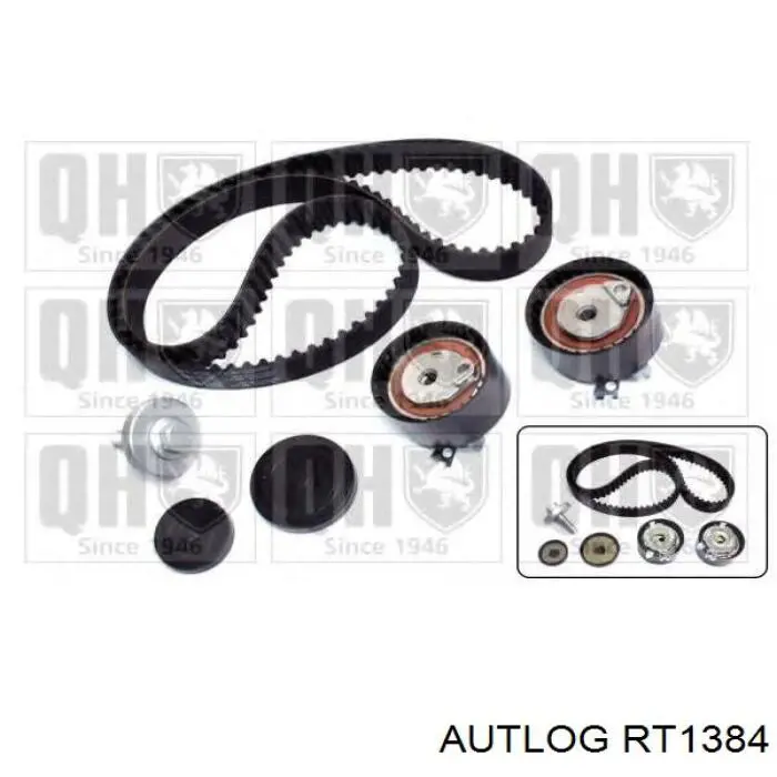 Tensor de la correa de distribución JP Group 4312200400 precio, desde 36,06 EUR