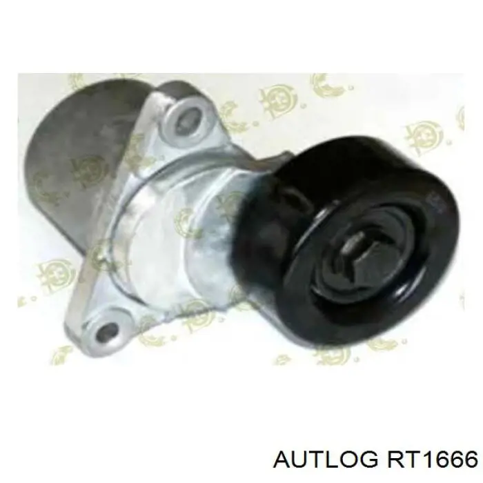 Rodillo tensor correa poli V CX/Complex CX33299 precio, desde 14,97 EUR
