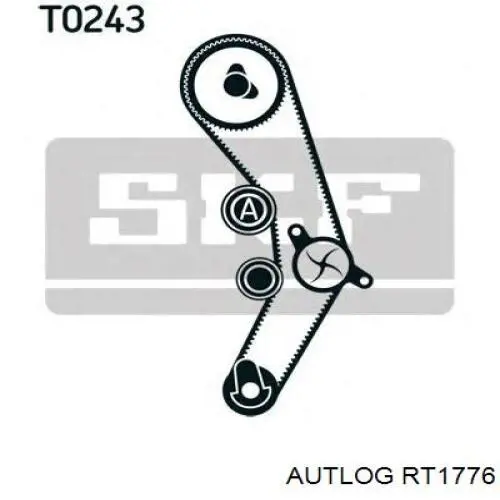 Rodillo tensor cadena Gates T43242