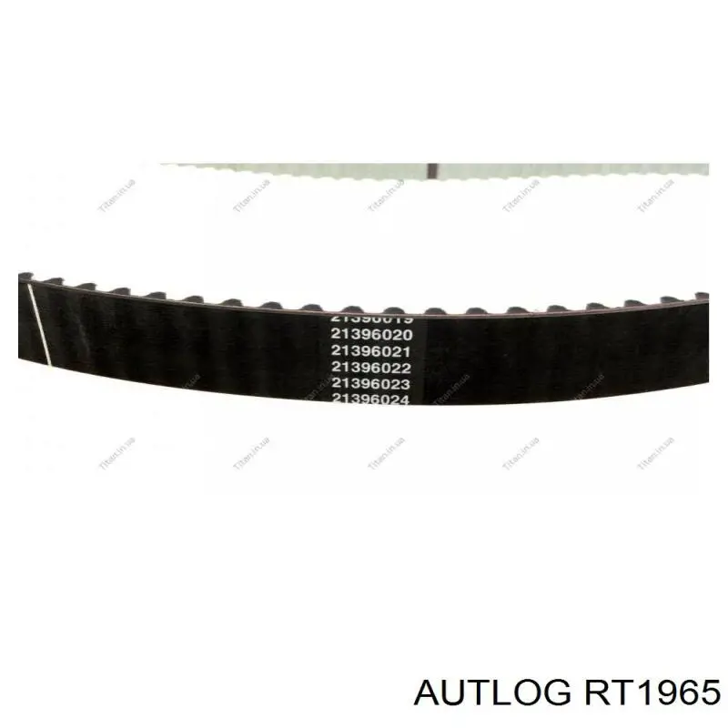 Rodillo, cadena de distribución Nissan Qashqai 2 J11