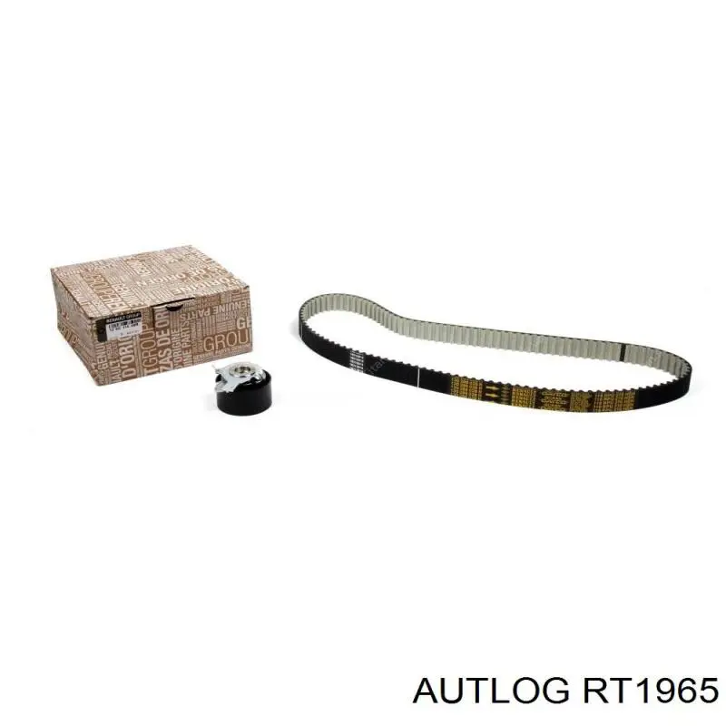 Rodillo, cadena de distribución Nissan Qashqai 2 J11