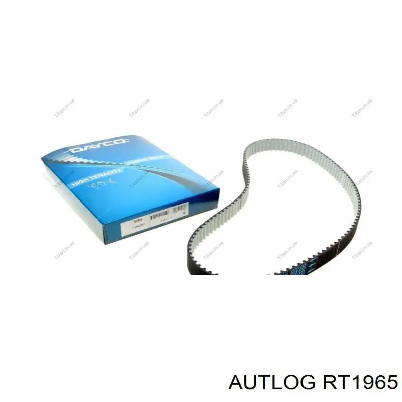 Rodillo, cadena de distribución Nissan Qashqai 2 J11