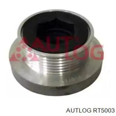 Poleas juego de piezas Renault Megane 2 LM0, LM1