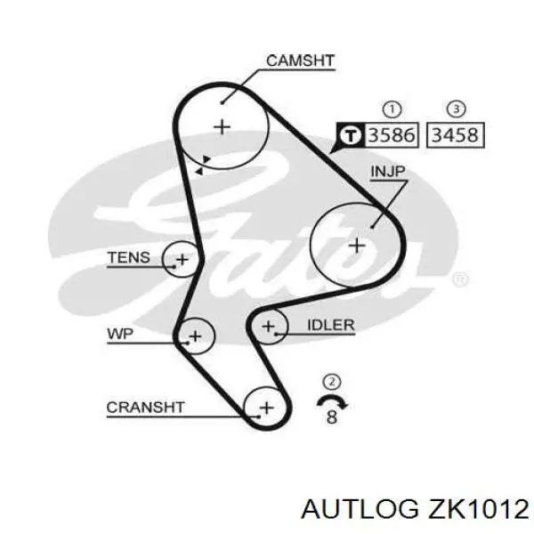 Comprar 83162 Peugeot/Citroen Kit de correa de distribución