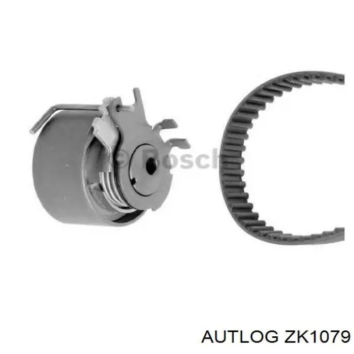 8660005800 Renault (RVI) Kit correa de distribución