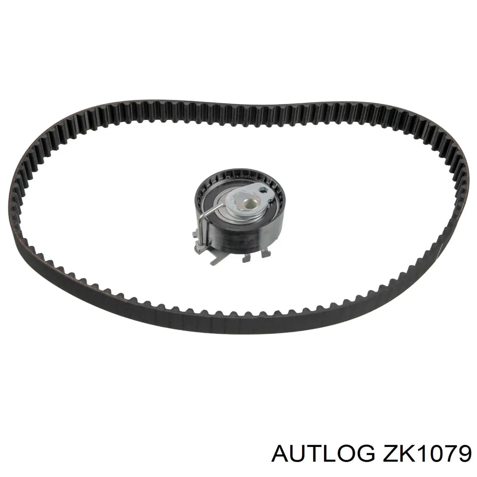Kit distribución Renault (RVI) 8660005800