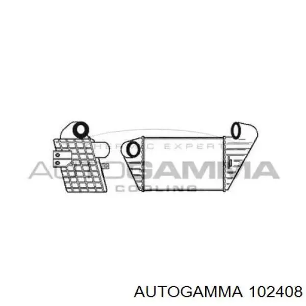 Comprar Intercooler Seat Toledo I 1L