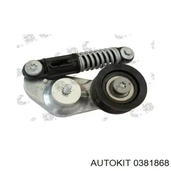 BB5E6A228BA Ford Tensor de correa auxiliar