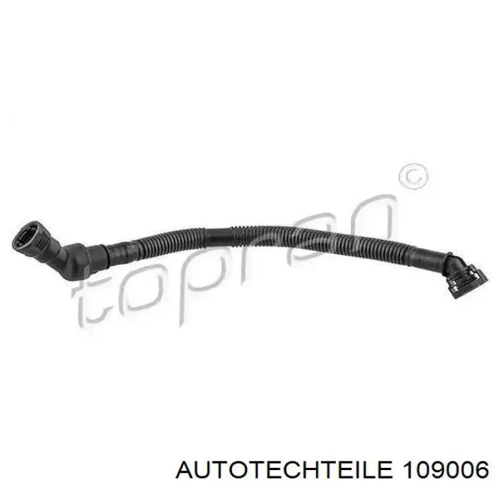 Rodillo, cadena de distribución Audi A6 4G2, 4GC