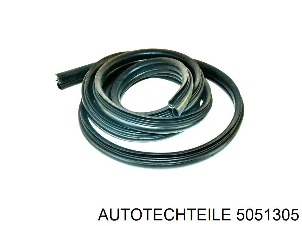 Junta de puerta trasera (en carrocería) Autotechteile 5051305 precio, desde 79,22 EUR