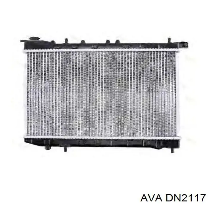 2146065Y01 Market (OEM) radiador refrigeración del motor