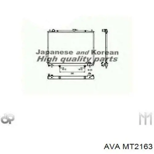 MT2163 AVA