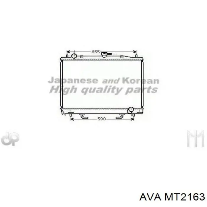 MT2163 AVA