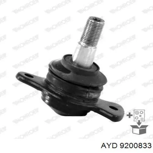 Reinhoch RH032008