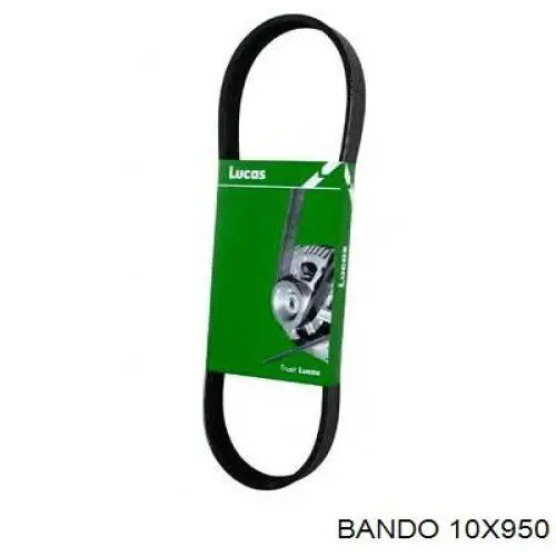 Correa accesorios Triscan 8640100950