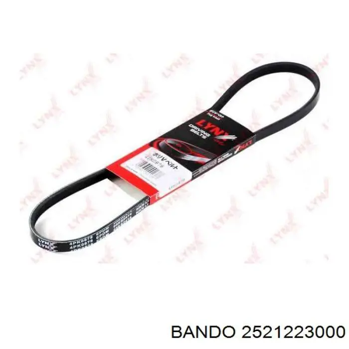 2521223000 Bando correa trapezoidal