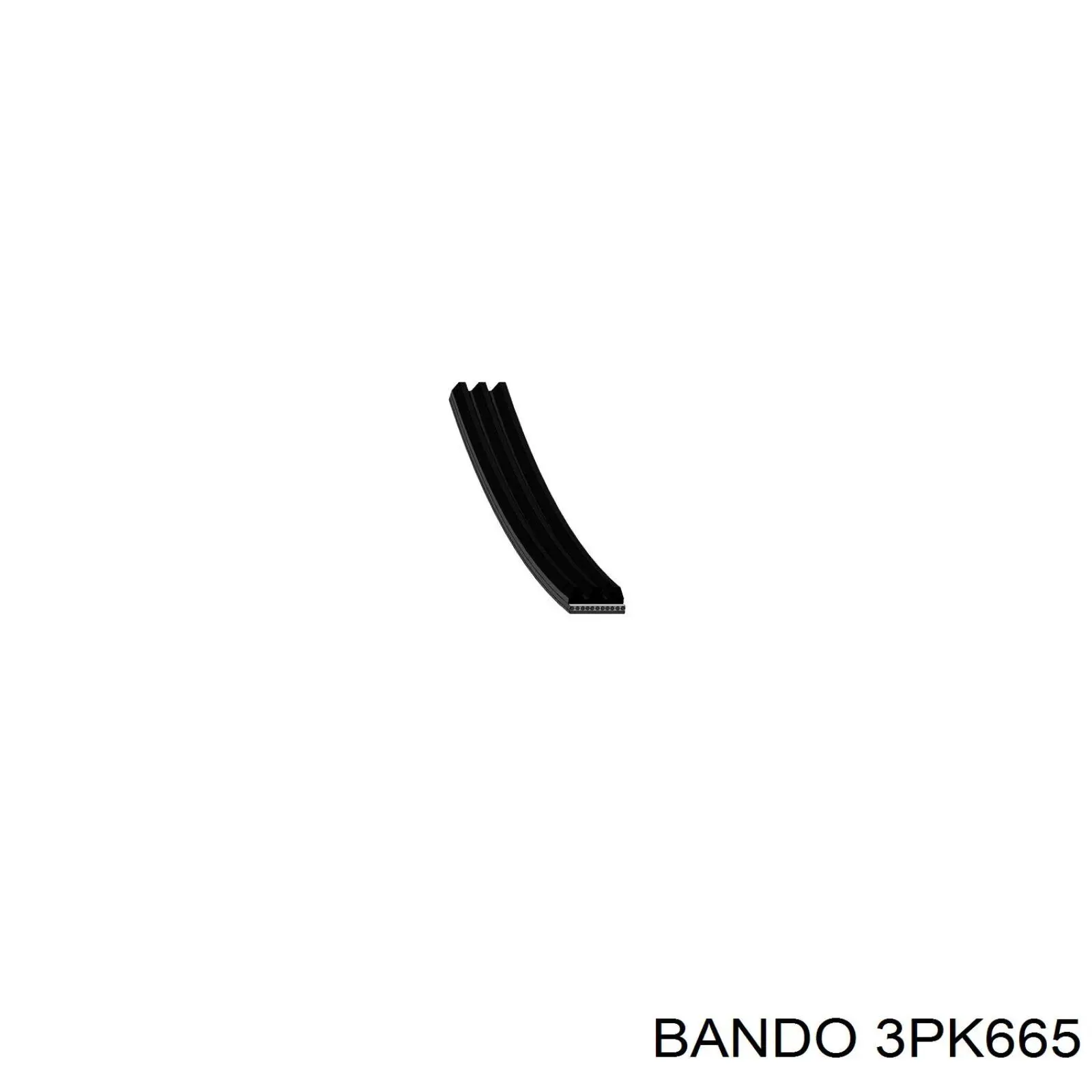 3PK665 Bando correa trapezoidal