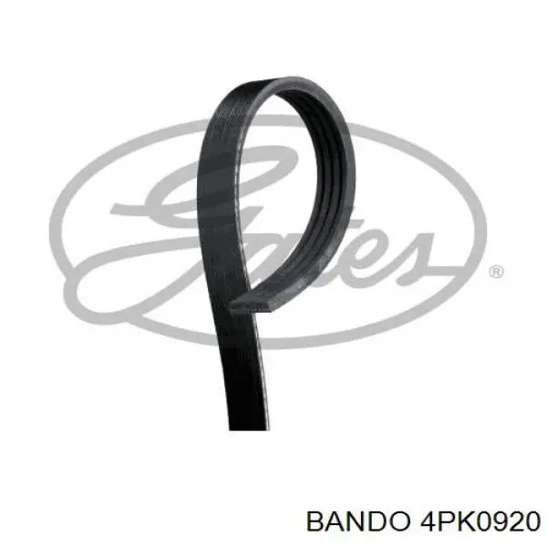 Correa de alternador 6C1Q6C301AC Ford