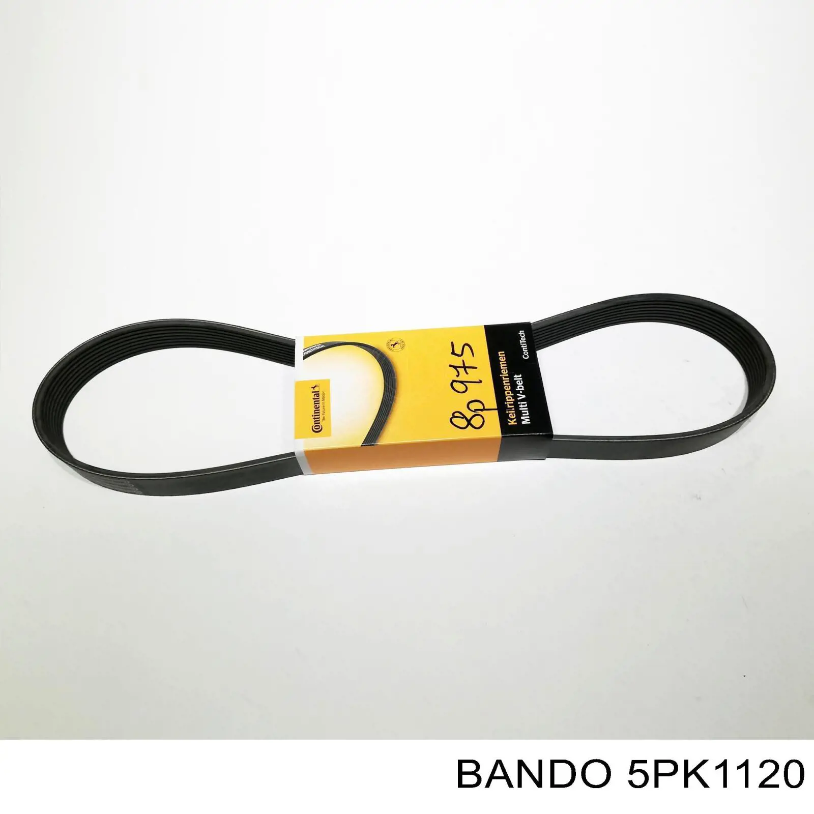 Correa accesorios Ashika 1125PK1120