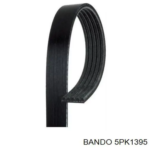 Correa de transmisión trapezoidal Rider RDT113701315 precio, desde 9,87 EUR