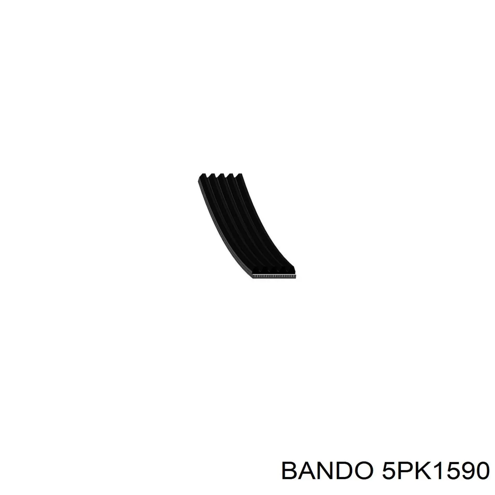 5PK1590 Bando correa trapezoidal