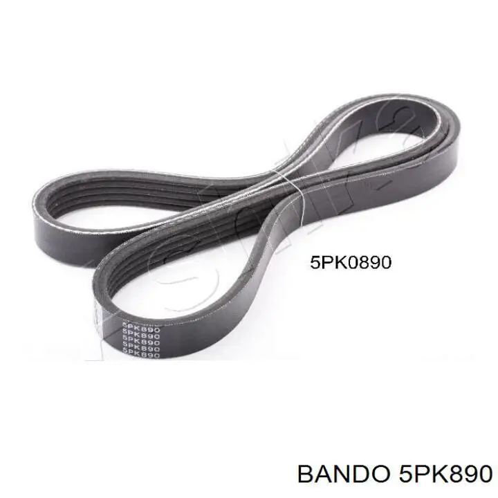 5PK890 Bando correa trapezoidal