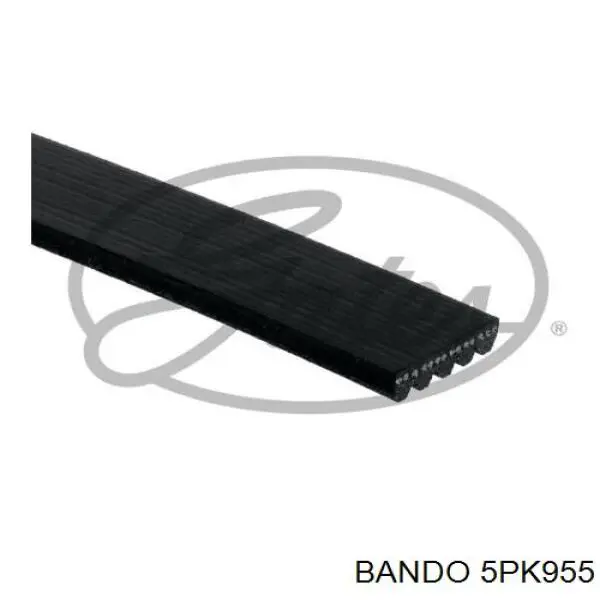 5PK955 Bando correa trapezoidal