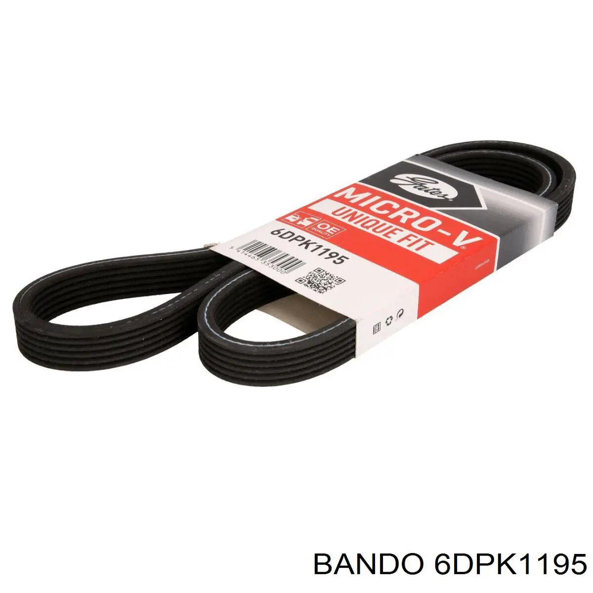 Correa accesorios Vika 12600585001