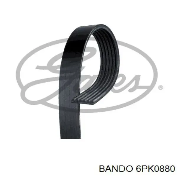 6PK0880 Bando Correa poly v
