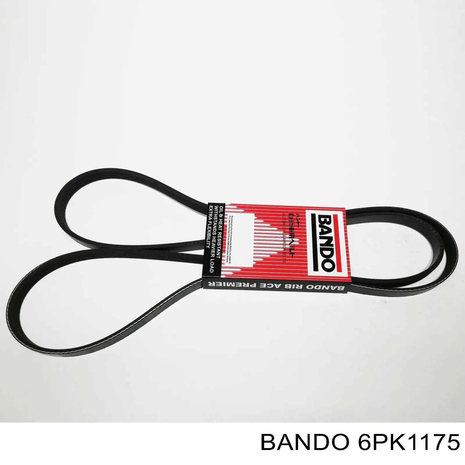 Comprar 6PV1173 Akron Malo Correa trapezoidal