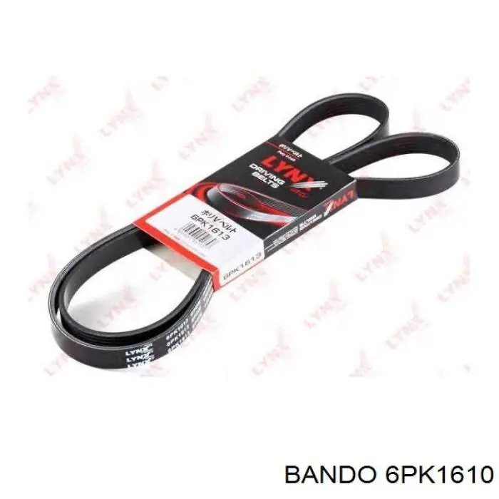 Correa accesorios Dayco 6PK1615