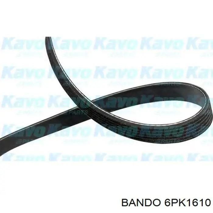 6PK1615 Dayco Correa poly v
