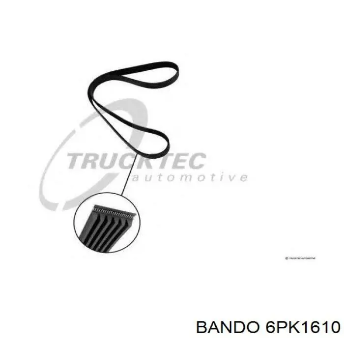 6PK1610 Continental/Siemens Correa poly v