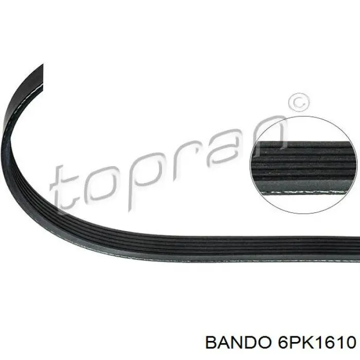 Correa de transmisión trapezoidal Continental/Siemens 6PK1610 precio, desde 12,61 EUR