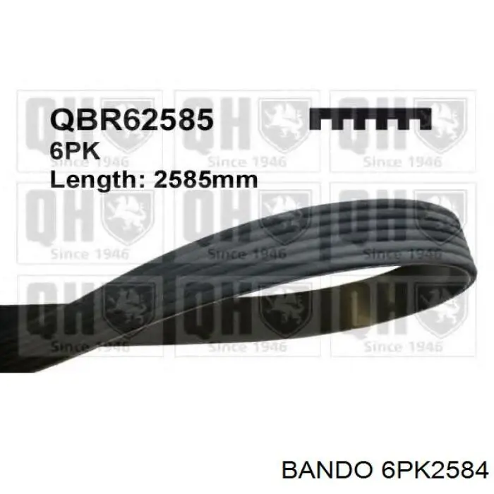 Comprar S2521225000 Hyundai/Kia Correa trapezoidal