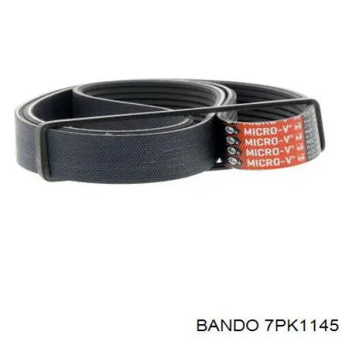 Correa accesorios Nissan/Infiniti AY14N71140