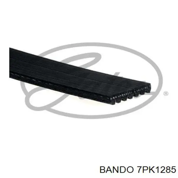 Comprar 31110PRA013 Honda Correa trapezoidal