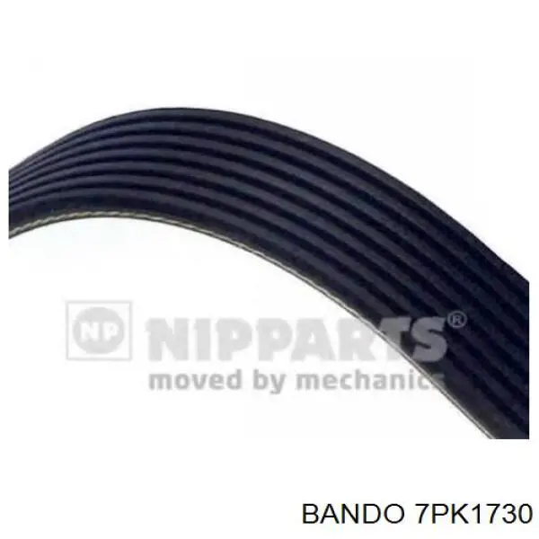 38920PNB004 Honda Correa poly v