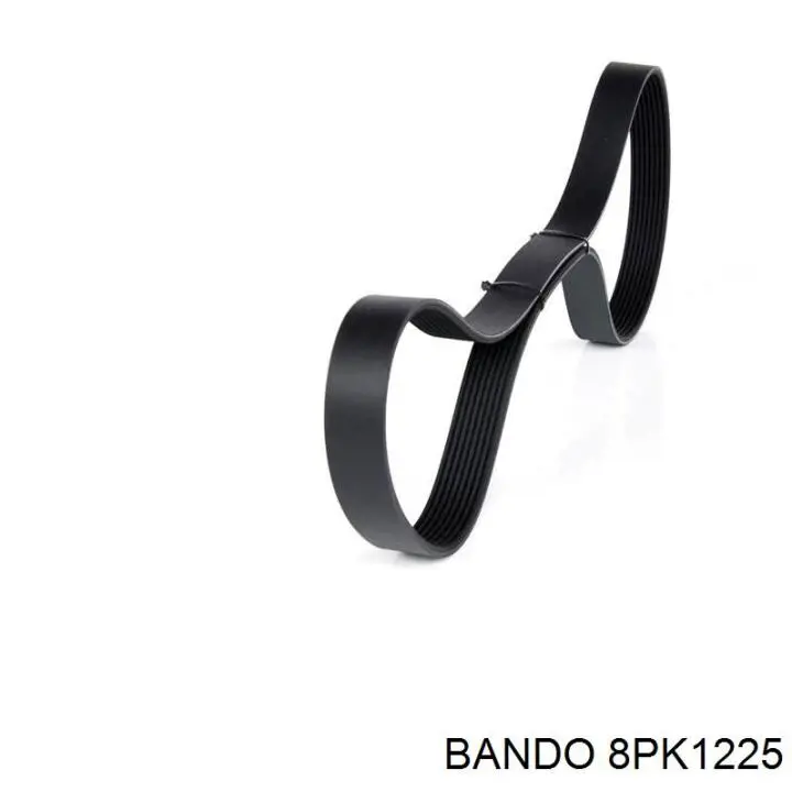 8PK1225 Bando correa trapezoidal