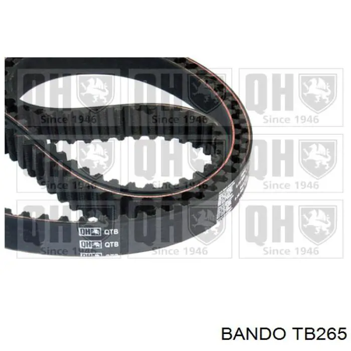 TB265 Bando correa distribucion