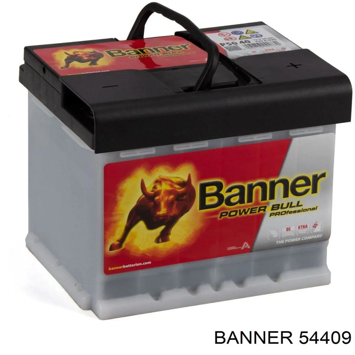 54409 Banner