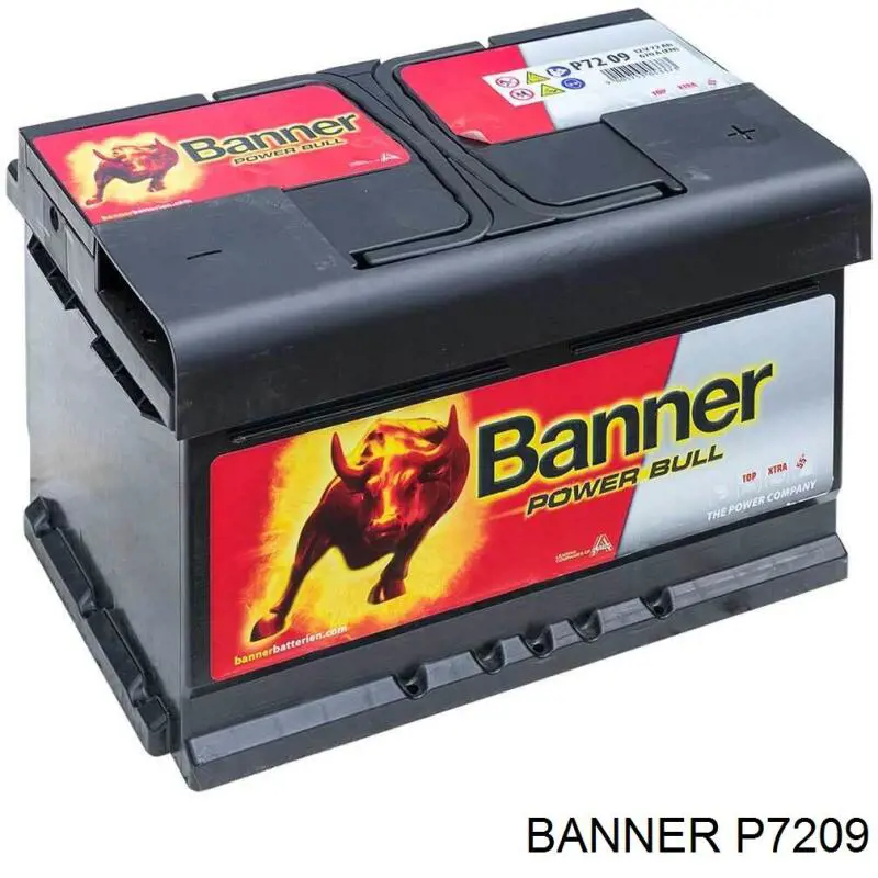 Comprar P7209 Banner Batería de coche