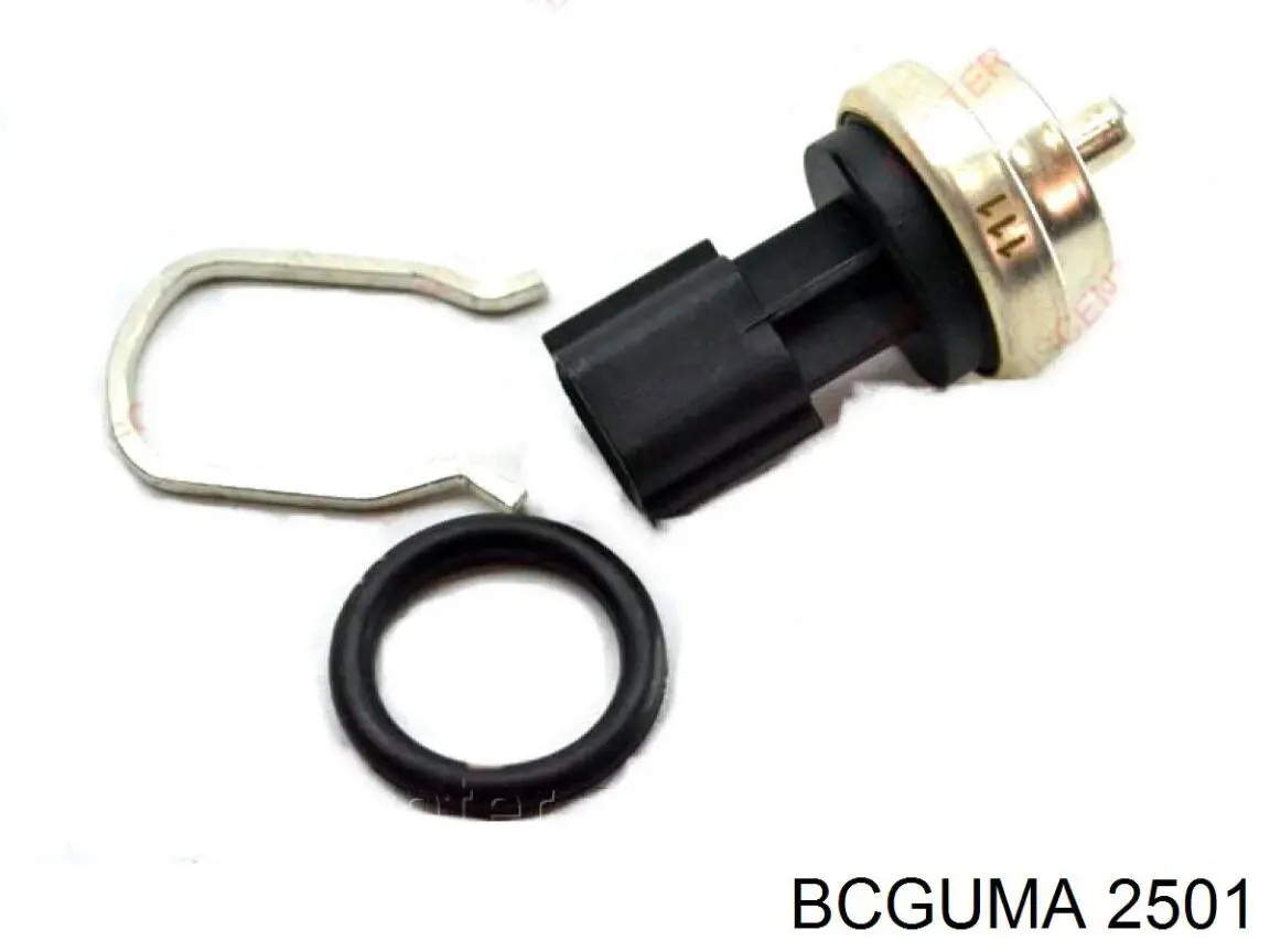 2501 Bcguma silentblock de suspensión delantero inferior