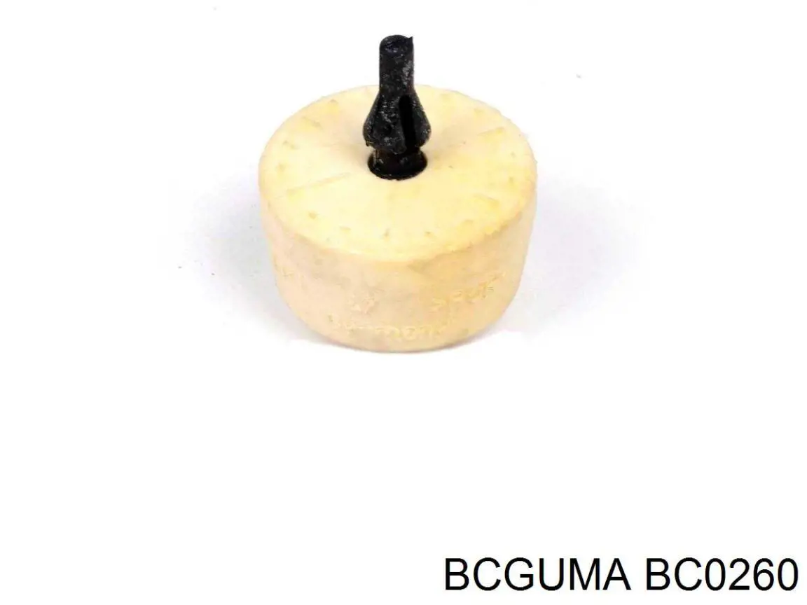 BC0260 Bcguma
