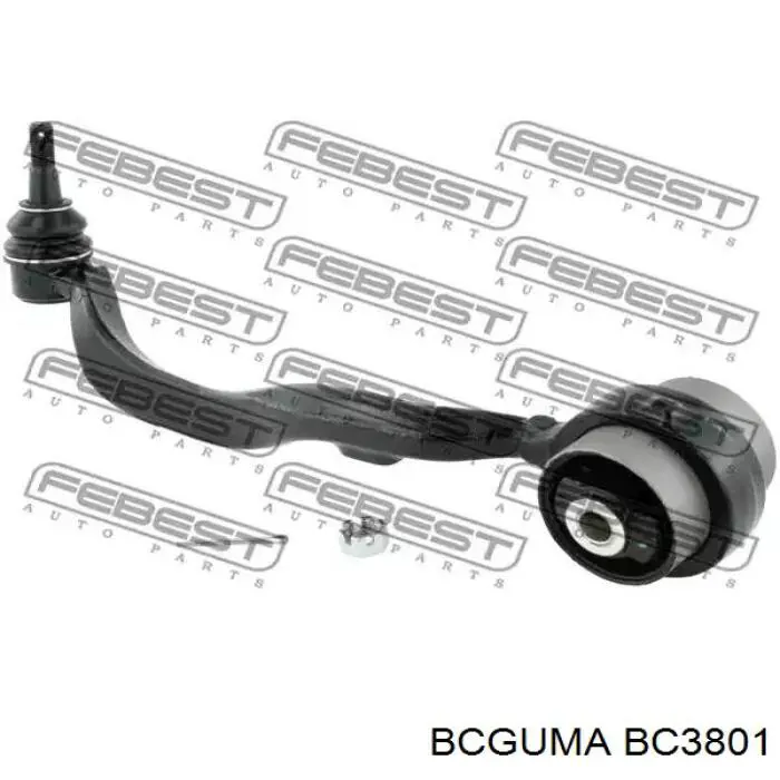 BC3801 Bcguma Silentblock de brazo de suspensión delantero inferior