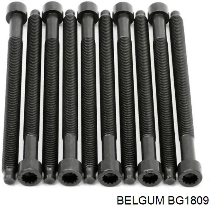 BG1809 Belgum soporte, motor, delantero, silentblock